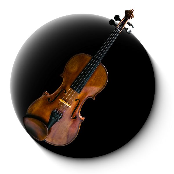 AETERNUS バイオリン