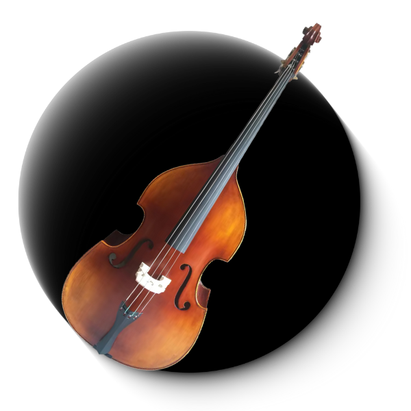 AETERNUS コントラバス