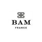 バイオリン ケース Bam VOCALESE Classic HIGHTECH Oblong
