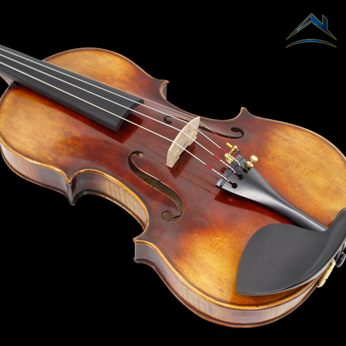 AM – AETERNUS MAESTRO｜上級モデル（AETERNUSシリーズ）