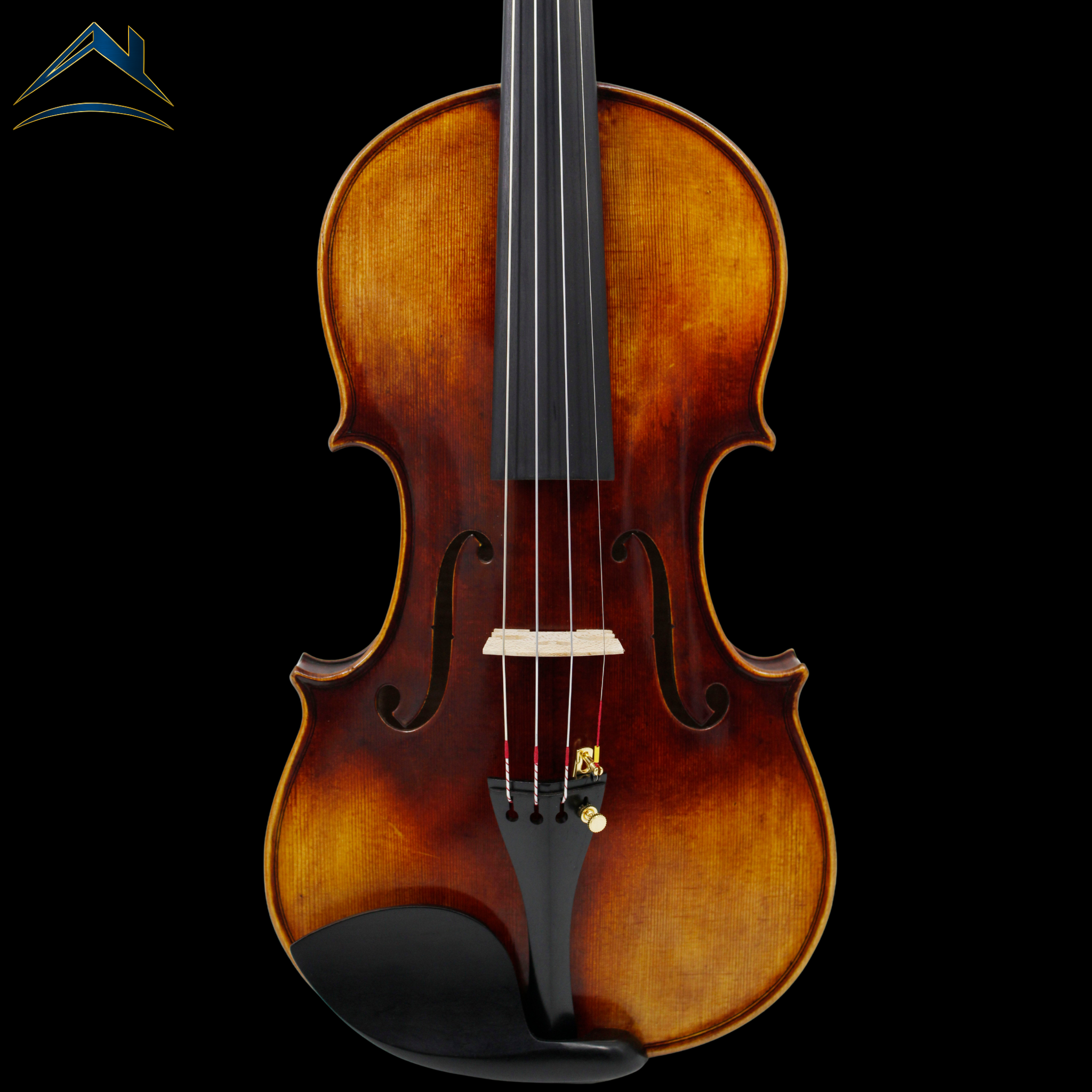 AM – AETERNUS MAESTRO｜上級モデル（AETERNUSシリーズ）