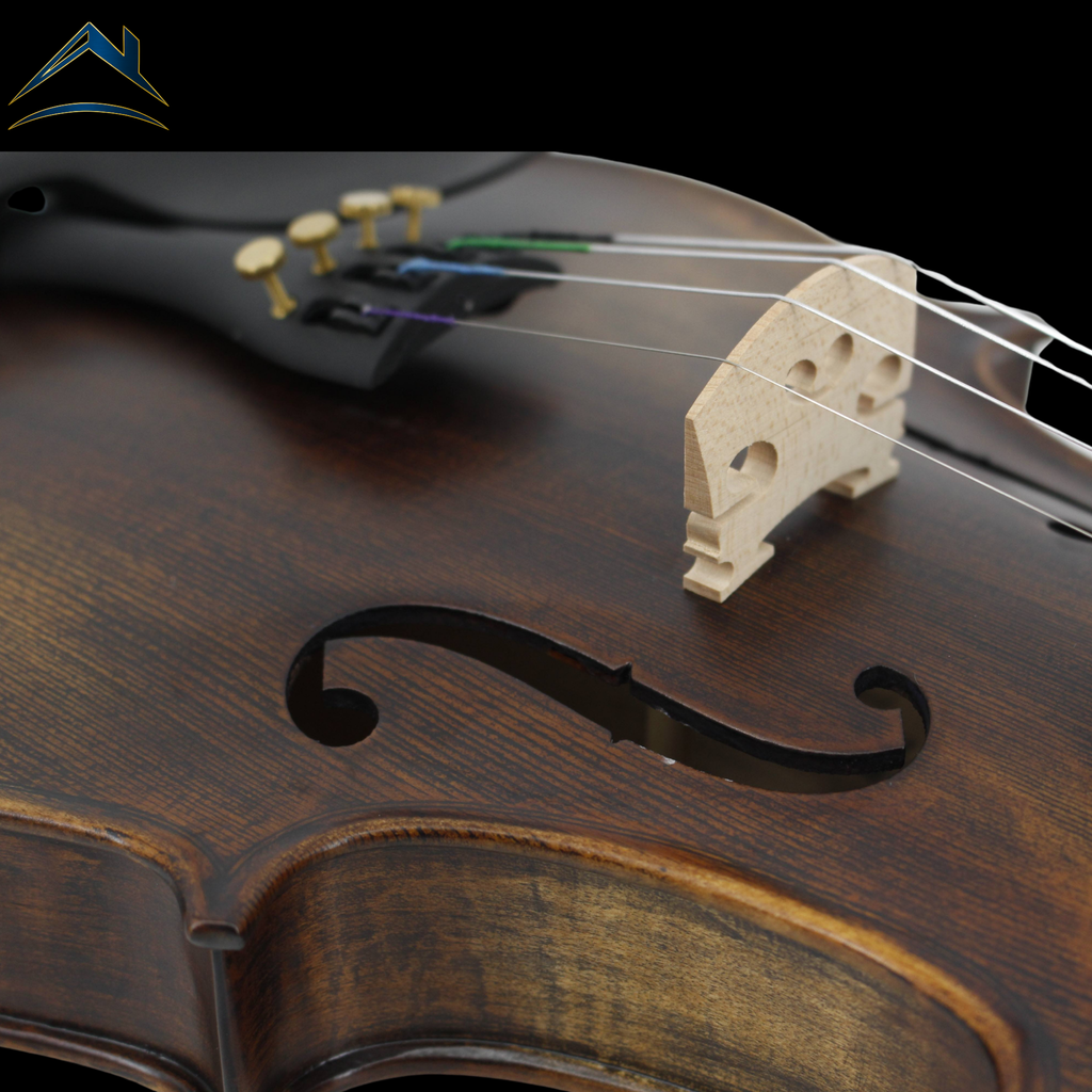 AI – AETERNUS INIZIO｜入門用バイオリン（AETERNUSシリーズ）