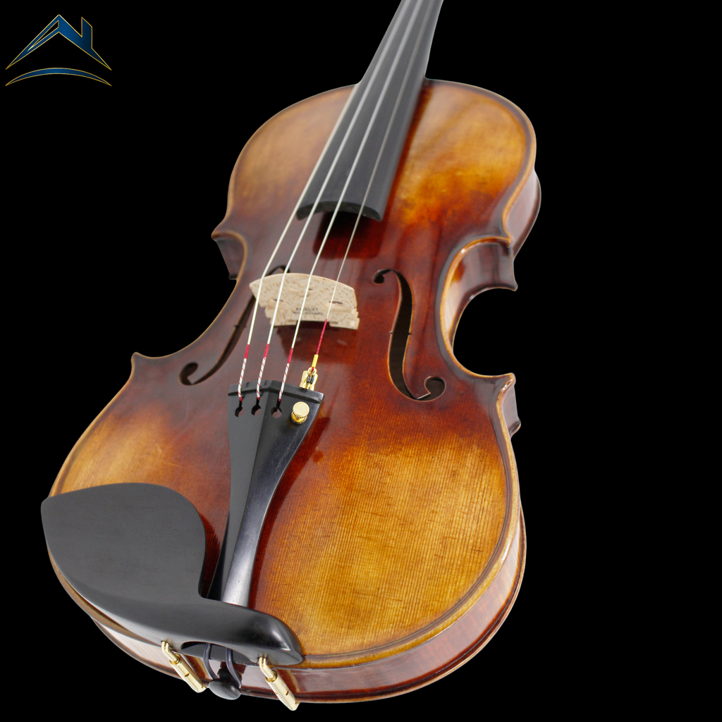 AM – AETERNUS MAESTRO｜上級モデル（AETERNUSシリーズ）