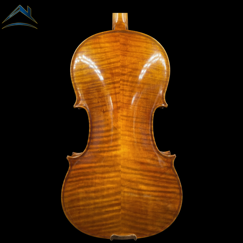 AA – AETERNUS AVANZATO｜中級導入モデル（AETERNUSシリーズ）