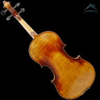 AM – AETERNUS MAESTRO｜上級モデル（AETERNUSシリーズ）