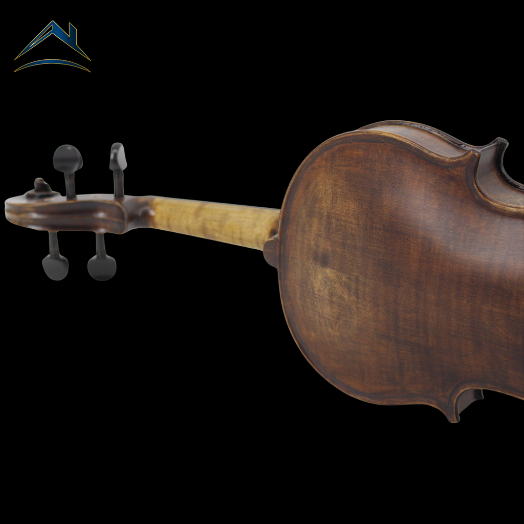 AI – AETERNUS INIZIO｜入門用バイオリン（AETERNUSシリーズ）