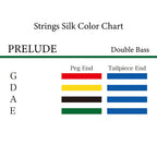 コントラバス弦 Prelude