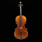 AM – AETERNUS MAESTRO｜上級モデル チェロ（AETERNUSシリーズ)