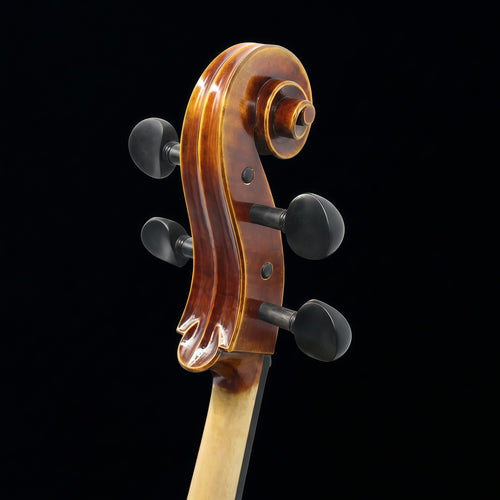 AH – AETERNUS HERITAGE｜フラッグシップ チェロ（AETERNUSシリーズ）