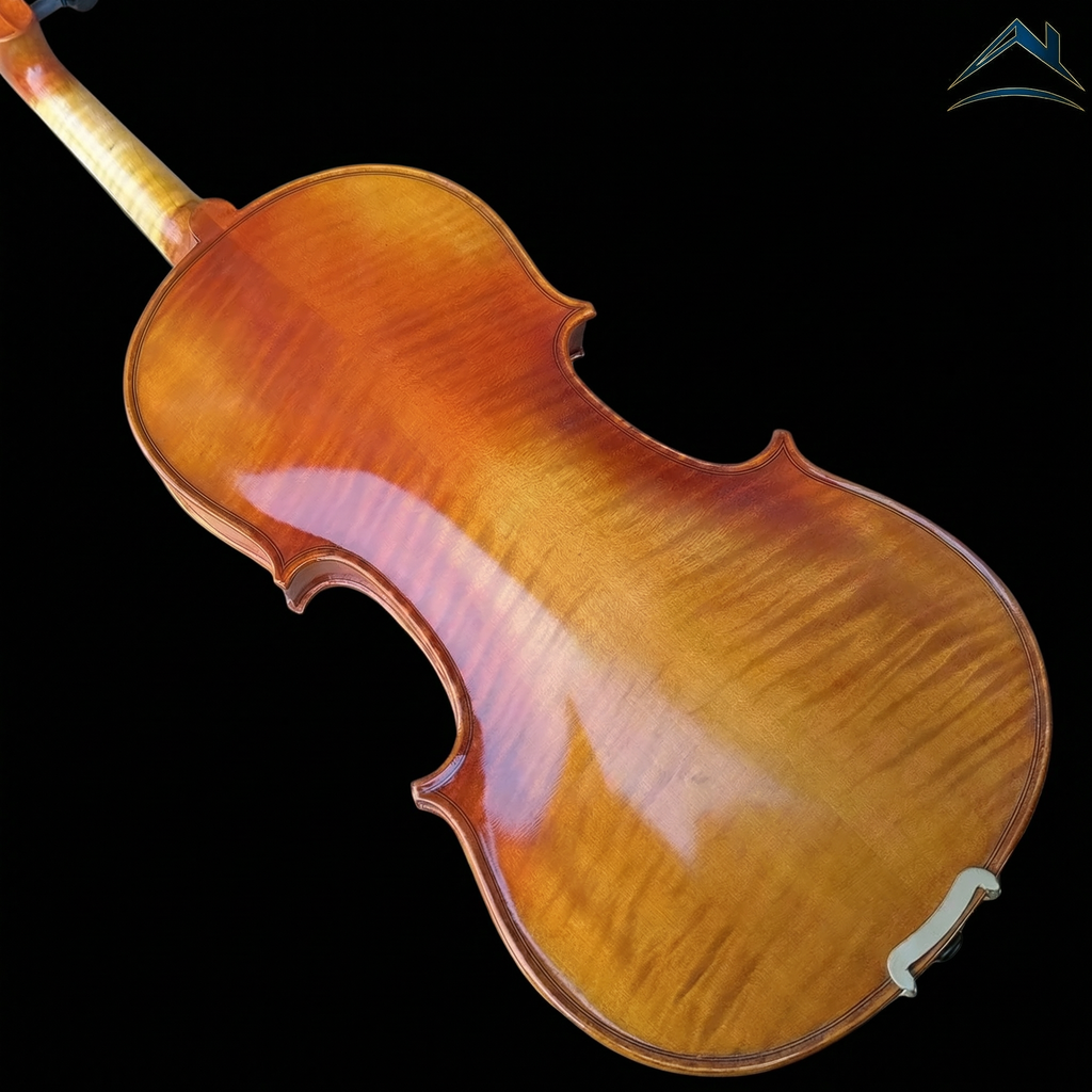 AA – AETERNUS AVANZATO｜中級導入モデル（AETERNUSシリーズ）