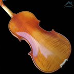 AA – AETERNUS AVANZATO｜中級導入モデル（AETERNUSシリーズ）