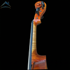 AA – AETERNUS AVANZATO｜中級導入モデル（AETERNUSシリーズ）