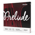 コントラバス弦 Prelude