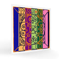 チェロ弦 PASSIONE
