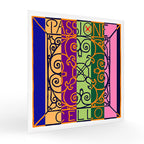 チェロ弦 PASSIONE