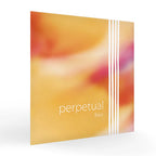 コントラバス弦 PERPETUAL