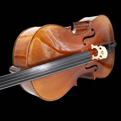 AA – AETERNUS AVANZATO｜中級導入モデル　チェロ（AETERNUSシリーズ）